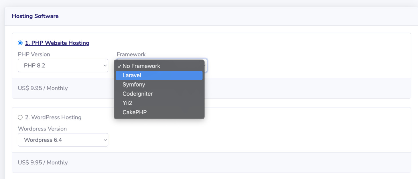 In the Hosting Software section, choose PHP Website Hosting, and select Laravel in the Framework selection.