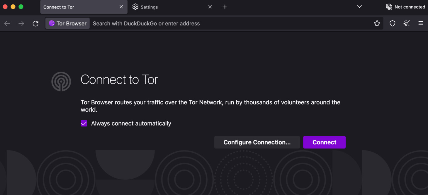 The first time you launch the Tor Browser, connection to the Tor network must be established. This can be achieved by clicking the Connect button found on the browser's interface.